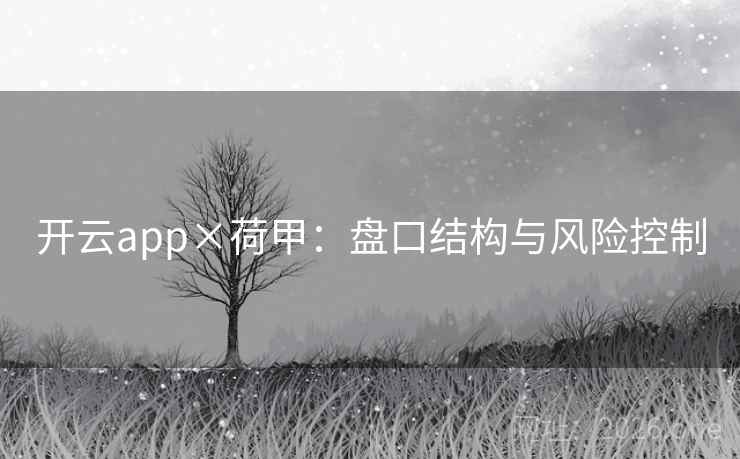 开云app×荷甲:盘口结构与风险控制 开云app×荷甲:盘口结构与风险控制