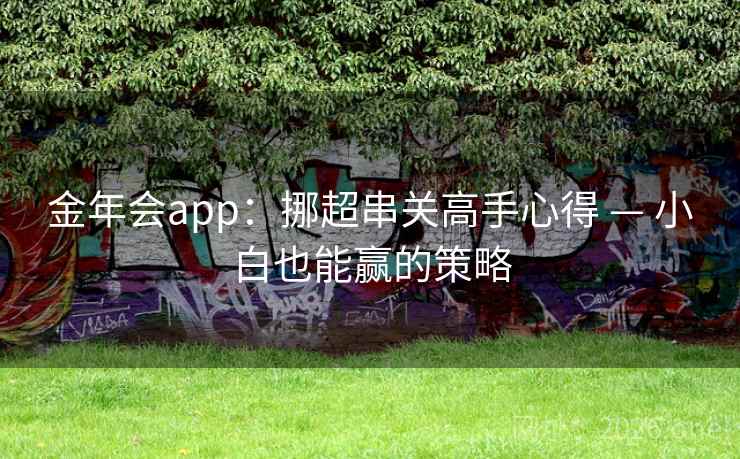 金年会app：挪超串关高手心得 — 小白也能赢的策略