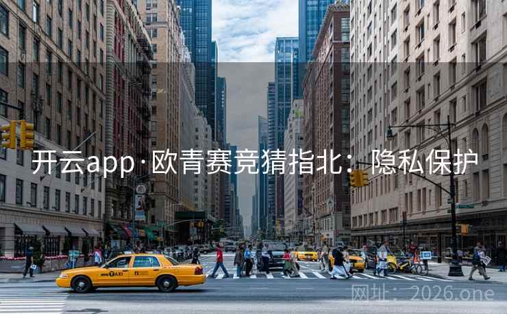 开云app·欧青赛竞猜指北：隐私保护