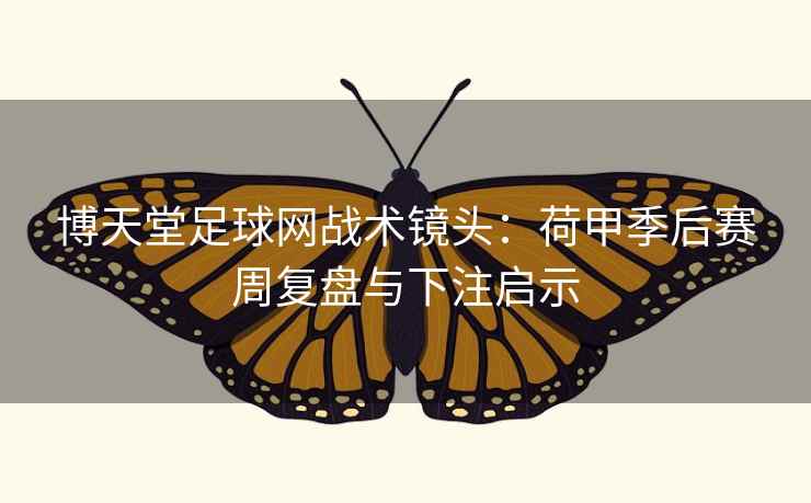 博天堂足球网战术镜头：荷甲季后赛周复盘与下注启示