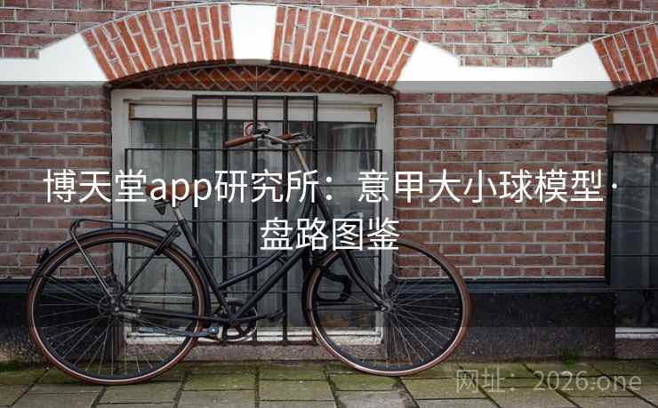 博天堂app研究所：意甲大小球模型·盘路图鉴