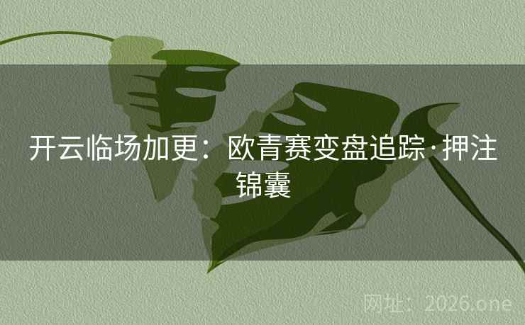 开云临场加更：欧青赛变盘追踪·押注锦囊