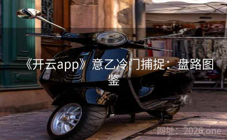《开云app》意乙冷门捕捉：盘路图鉴