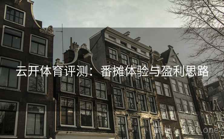 云开体育评测：番摊体验与盈利思路